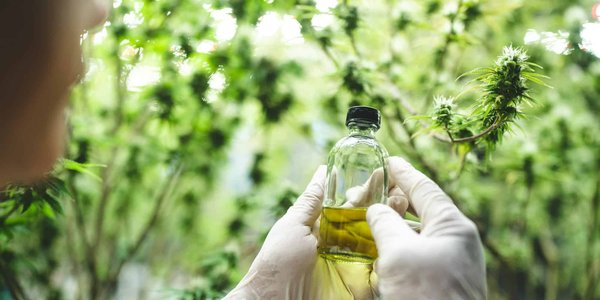 Découvrez la formation professionnelle herboristerie en ligne