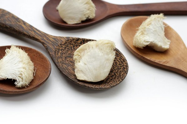 Tout ce que vous devez savoir sur le lion's mane